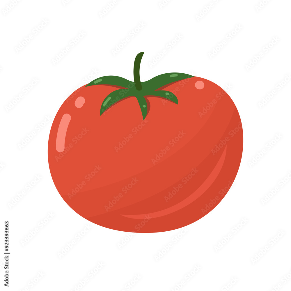 Red tomato. Fresh vegetable, food salad ingredient. Healthy eating. Hand drawn vector simple design isolated on white background Red tomato. Fresh vegetable, food salad ingredient. Healthy eating. Hand drawn vector simple design isolated on white background
