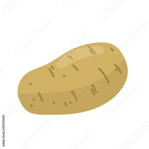 Potato. Fresh vegetable, food cooking ingredient. Healthy eating. Hand drawn vector simple design isolated on white background