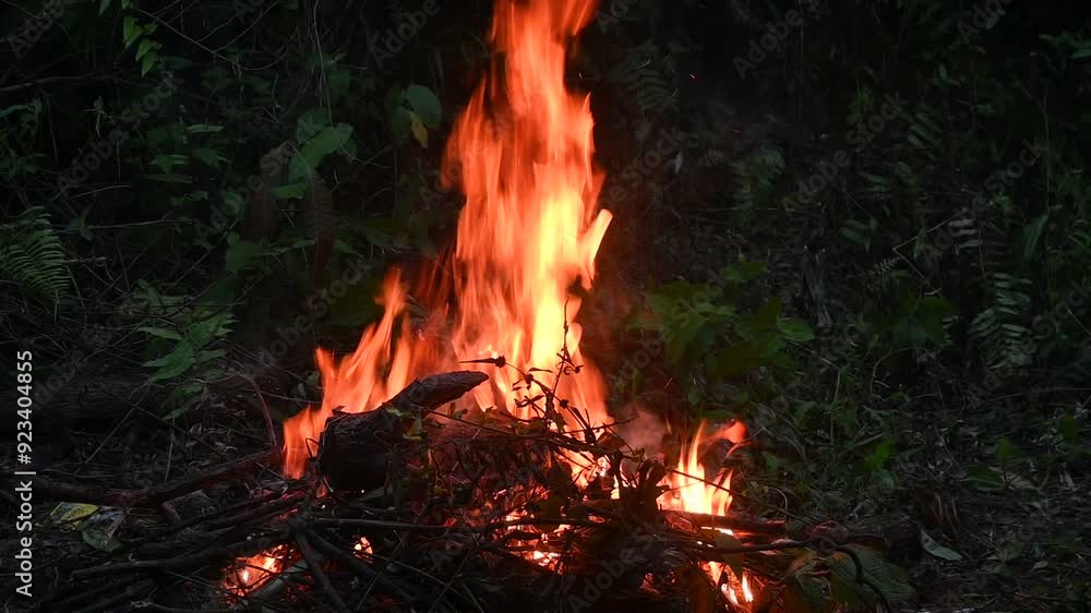 fire in the forest. Fireplace at night.