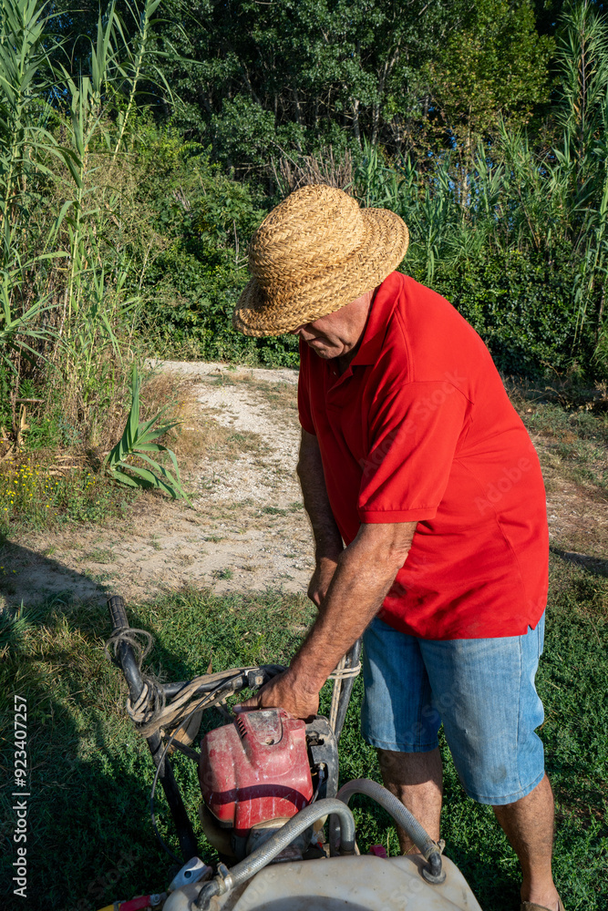 Obraz premium Sulphating the garden, organic orchard, Catalonia, Spain