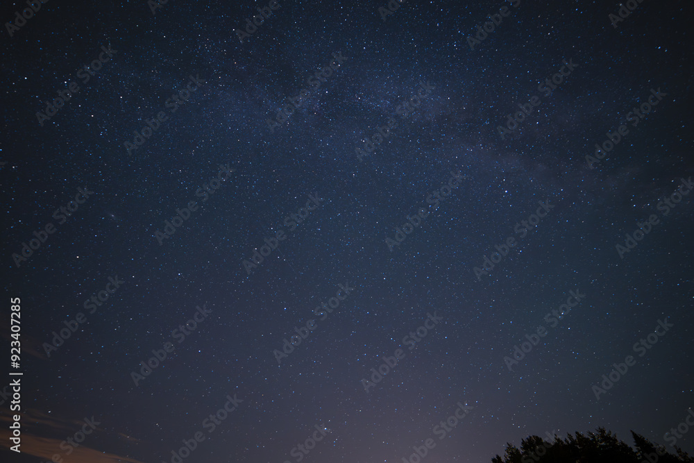 Milky Way in the forest Milky Way in the forest