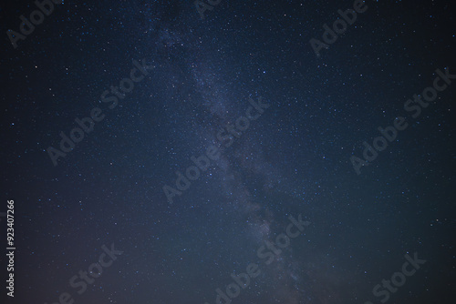 Fototapeta Naklejka Na Ścianę i Meble -  Milky Way in the forest