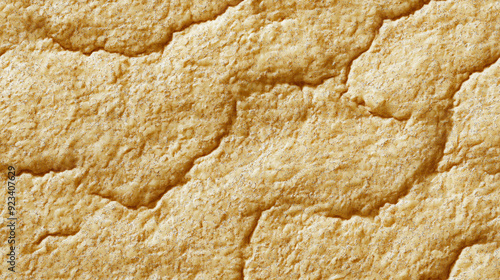 Extreme close-up of a single snickerdoodle cookie surface texture. Light golden surface with a coating of cinnamon sugar, slightly cracked. photo