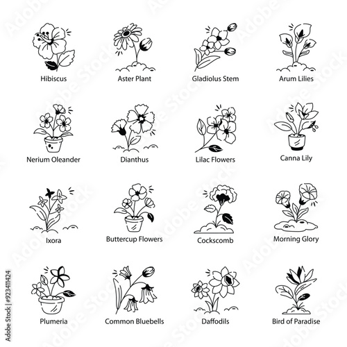 Bundle of Doodle Style Blooming Flowers Icons

