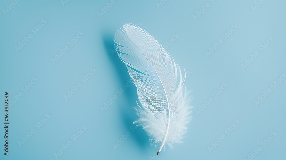 Single delicate white feather on light blue background Soft focus Ethereal atmosphere Closeup of bird plumage Minimalist nature inspired composition Single delicate white feather on light blue background Soft focus Ethereal atmosphere Closeup of bird plumage Minimalist nature inspired composition