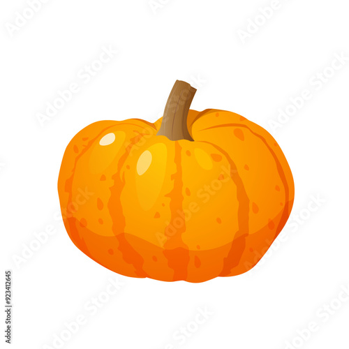 Organic natural orange pumpkin isolated on white background.	
