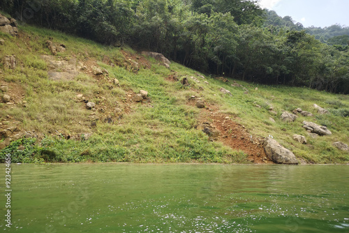 Scenic view of a mountain river flowing through a lush green forest with reflections in the water and surrounding mountains