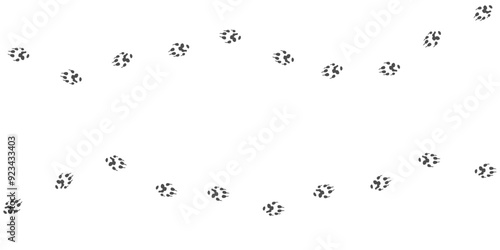Footprints of Farm Animal, Traces of a ferret on white background. Ferret silhouette animal tracks. Paw Print. Vector illustration. EPS10.