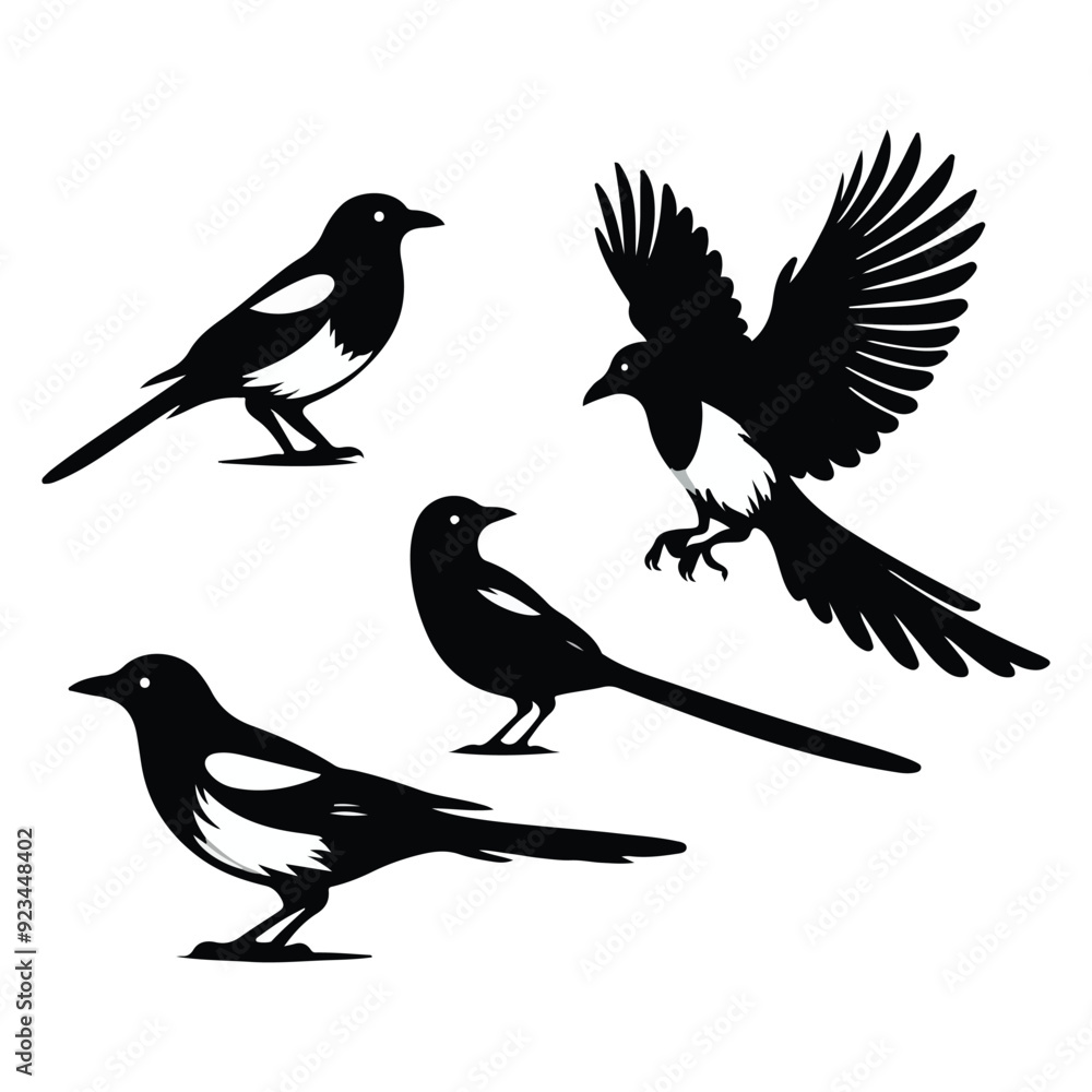 Fototapeta premium bird silhouette vector illustration ,Magpie silhouette on white background, Vector illustration, icon, characters, Holiday t shirt, Hand drawn illustration