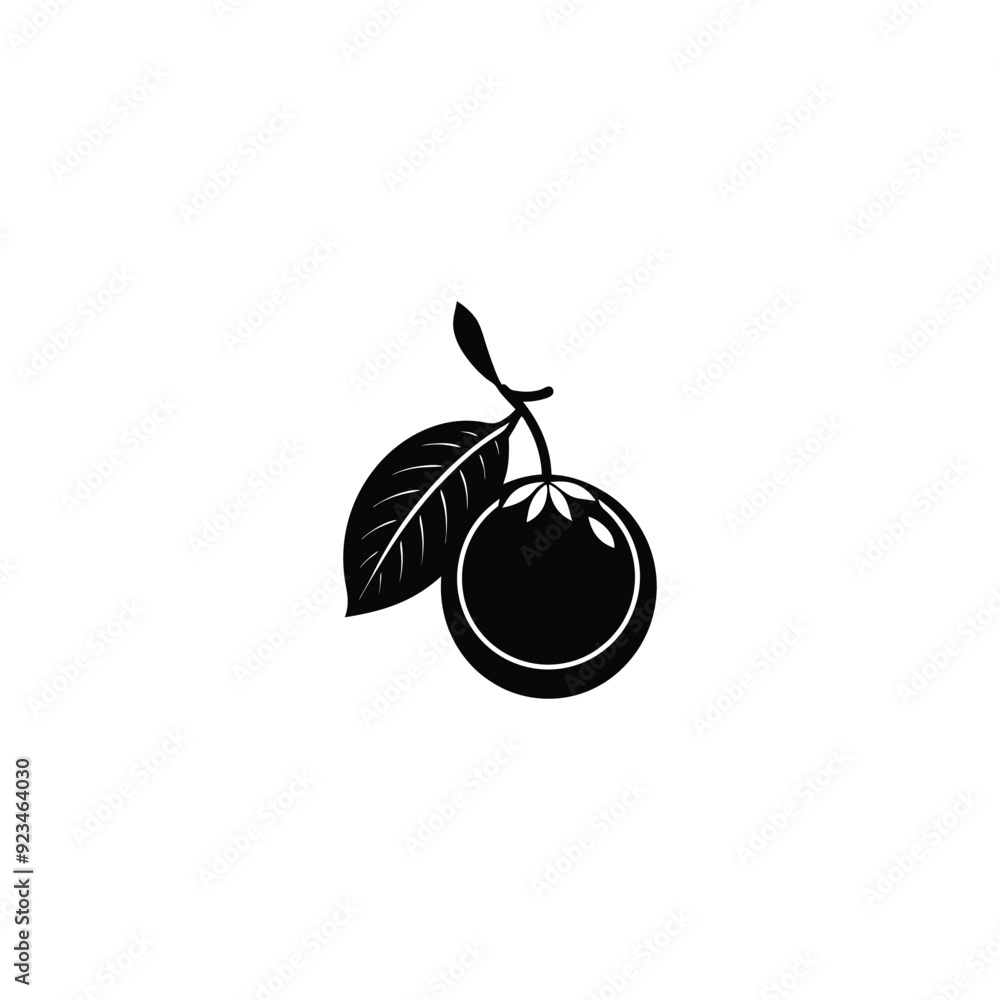 Longan Longan
