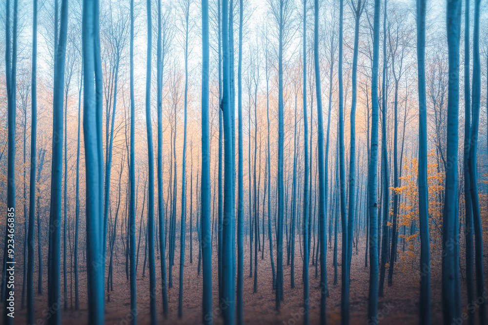 Naklejka premium Serene forest with dreamy sky and foggy minimalist mood. Minimalist landscape conceptual image for backgrounds, ads or templates.