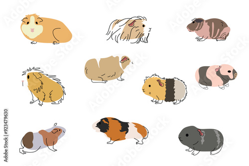 Cute Guinea Pig Pet Icons Vector Illustration