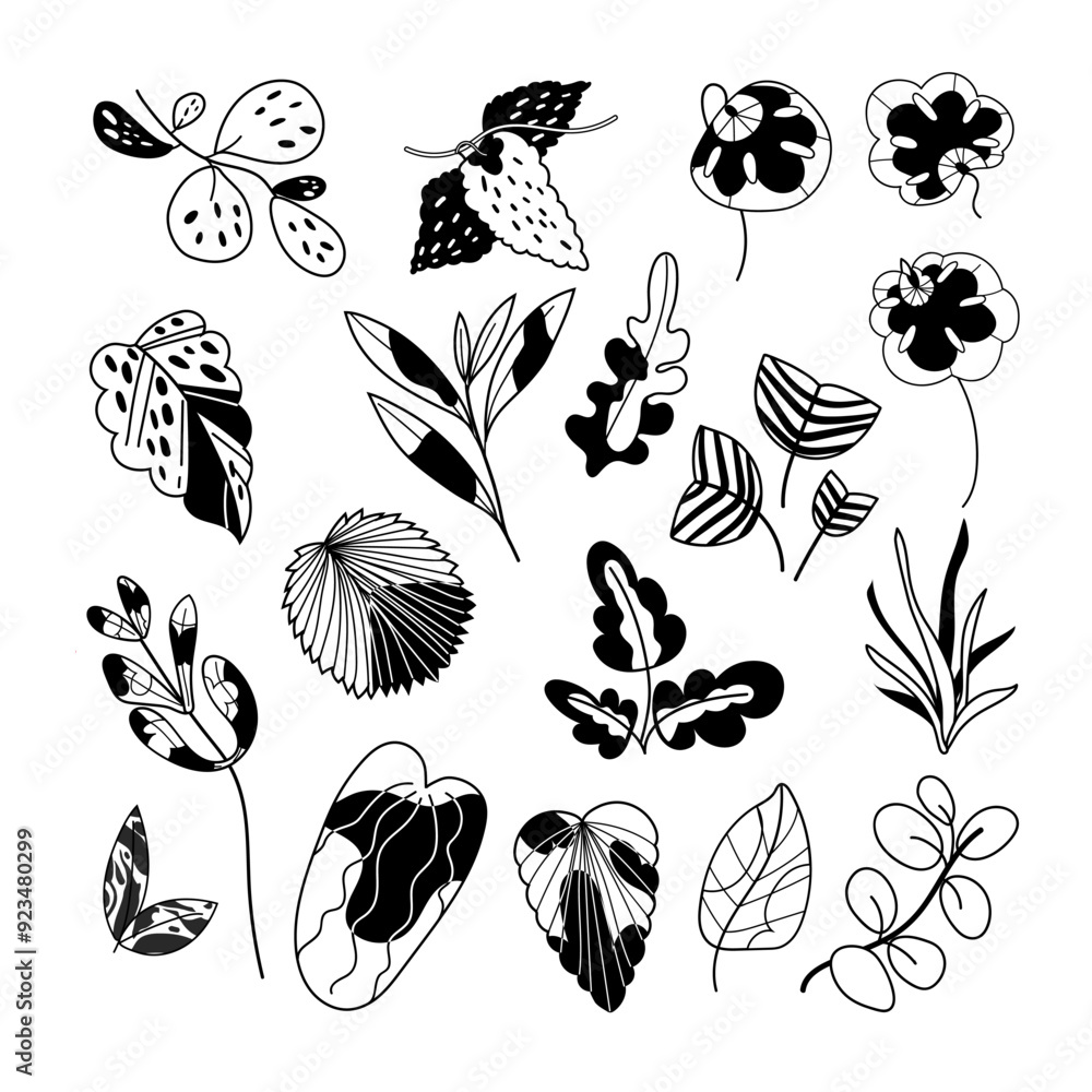 Outline Leaves vector set isolated on white background. Hand drawn black line hose plant elements botanical illustrations Outline Leaves vector set isolated on white background. Hand drawn black line hose plant elements botanical illustrations