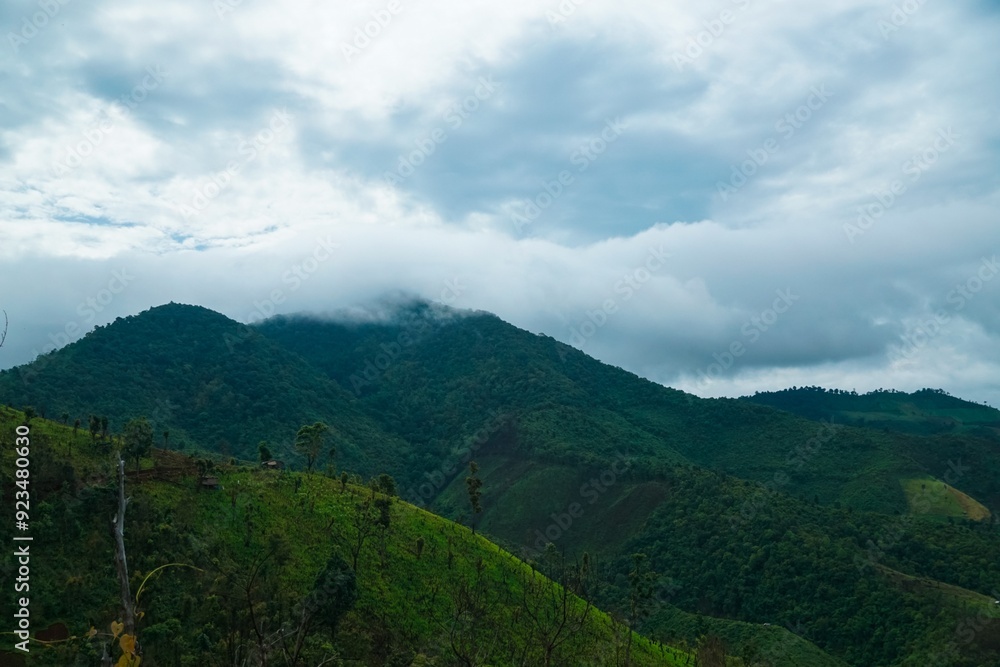 Obraz premium The mountains are covered in lush green trees and the sky is cloudy