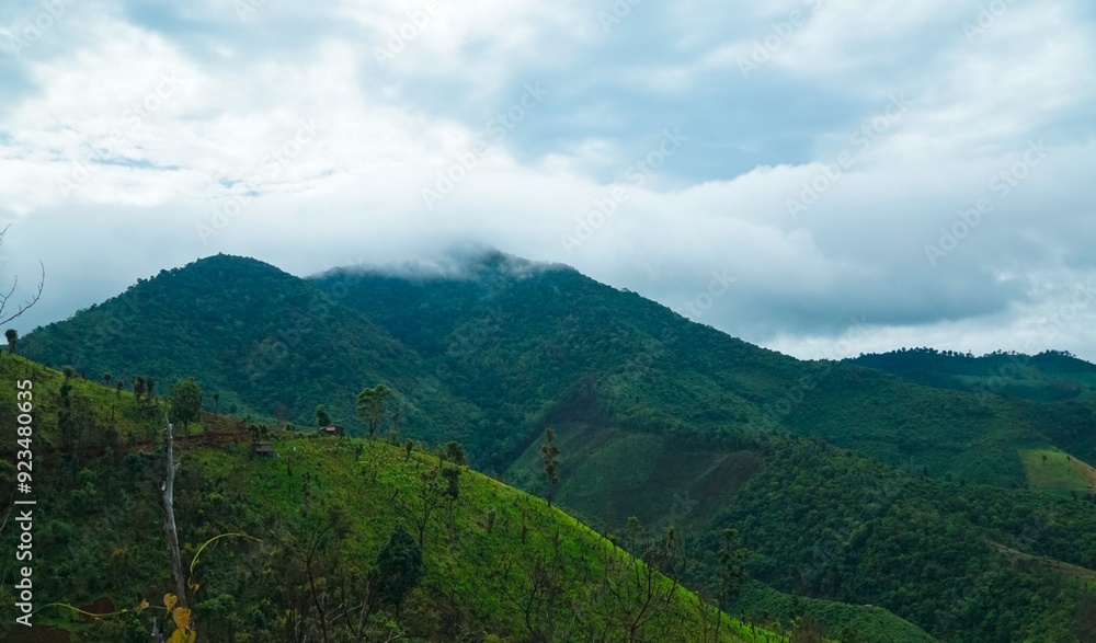 The mountains are covered in lush green trees and the sky is cloudy The mountains are covered in lush green trees and the sky is cloudy