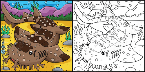 Wobbegong Shark Coloring Page Colored Illustration photo