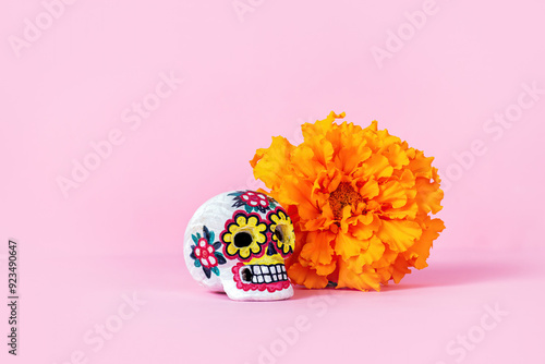 Sugar Skull and marigolds flowers, Day of the dead, Dia De Los Muertos, halloween Celebration Background. Copy Space.