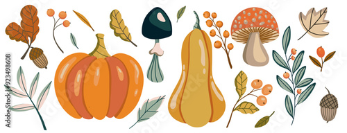 Vector flat autumn harvest themed illustration with pumpkins, squash, mushrooms, acorns, leaves, and berries, showcasing colors and elements of fall season. Thanksgiving and Harvest Day set.