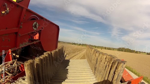 Kartoffelernte auf Kartoffelroder zeigt das komplette Ertneverfahren in Nahaufnahme