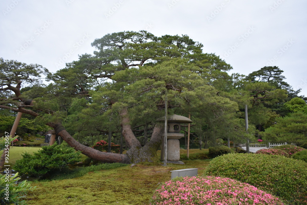Obraz premium 兼六園