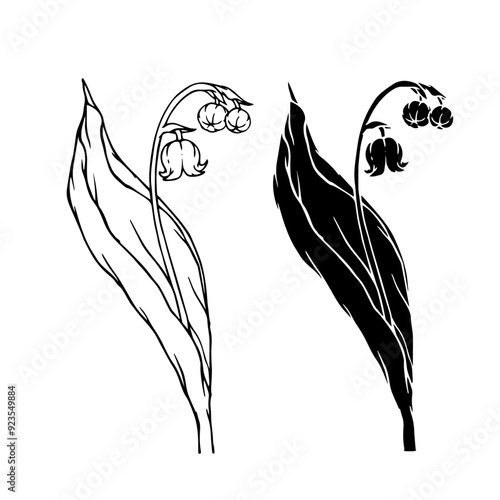 Line sketch, silhouette of a spring flower lily of the valley. Vector graphics.