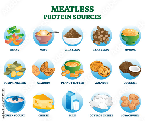 Meatless protein sources as vegetarian substitute and replacement nutrition, transparent background. Healthy food diet with seeds, nuts, dairy and beans illustration.