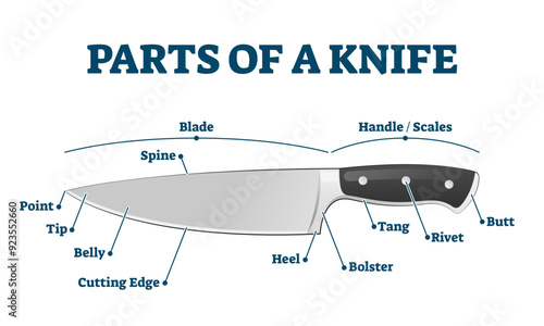 Parts of kitchen knife with labeled structure description illustration, transparent background.Educational diagram with cutting and chopping tool.Chef equipment for food preparation.