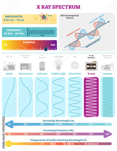 Electromagnetic Waves: X-ray Wave Spectrum, transparent background. Vector illustration diagram with wavelength, frequency, harmfulness and wave structure. Science educational information.