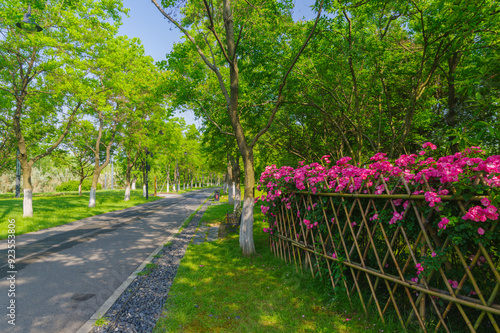 Summer scenery of Wuhan East Lake Scenic Area photo