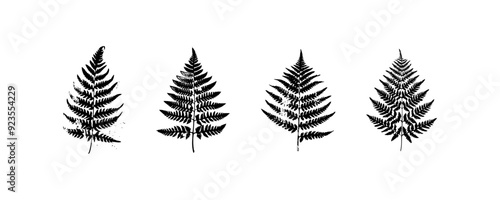 Black and White Fern Leaf Silhouettes. Vector icon design.