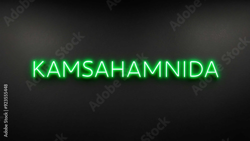 kamsahamnida green neon lettering on plain dark black background