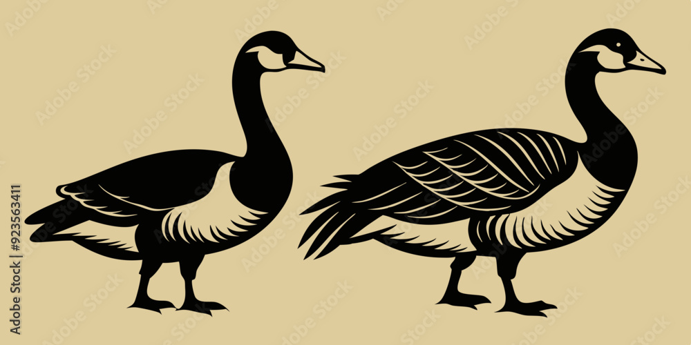 Canada geese. Two birds. The black silhouette and the color vintage style bird. Vector illustration
Canada geese. Two birds. The black silhouette and the color vintage style bird. Vector illustration
