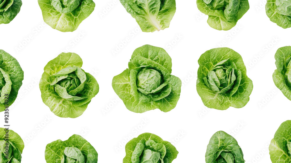 Fototapeta premium Lettuce transparent background