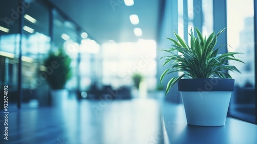 Wallpaper Mural Green potted plant in modern office interior with large windows and blurred background Torontodigital.ca