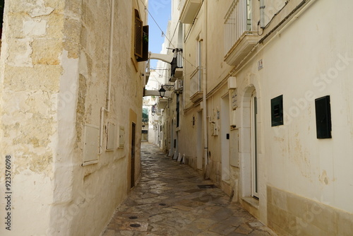 Obraz na plátně Empty alley of Monopoli, Puglia, Italy