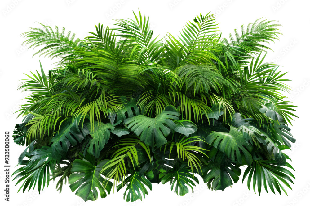A dense bush of tropical leaves flourishes in a vibrant green setting, showcasing various leaf shapes and sizes under bright natural light A dense bush of tropical leaves flourishes in a vibrant green setting, showcasing various leaf shapes and sizes under bright natural light