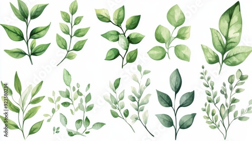 A collection of various green leaves illustrated in a watercolor style.