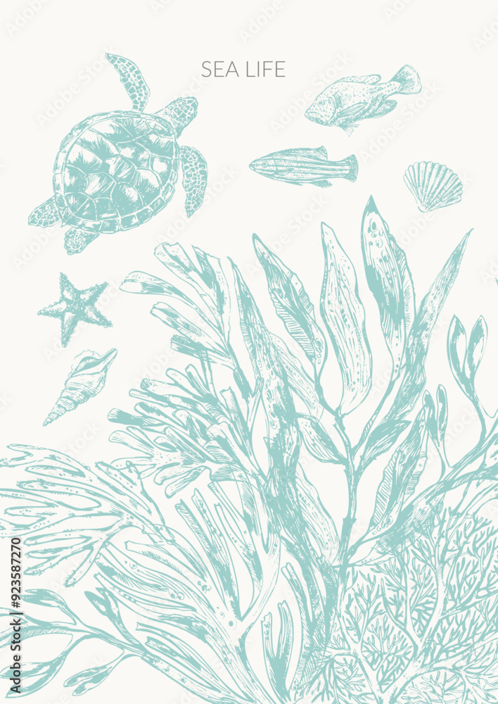 Sea life background in light green color with sea turtle, fish, starfish, seaweed plants Sea life background in light green color with sea turtle, fish, starfish, seaweed plants
