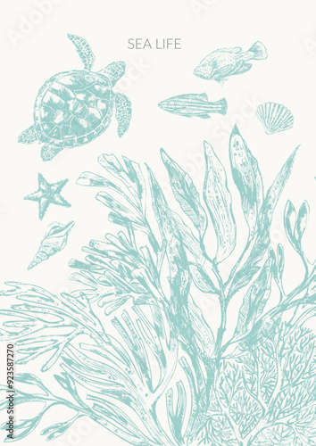 Sea life background in light green color with sea turtle, fish, starfish, seaweed plants