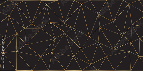 Composition based on Plexus. Use different methods of overlaying (mixing).Abstract technology background with connection lines and dots. Network connection structure's-fi network shape.