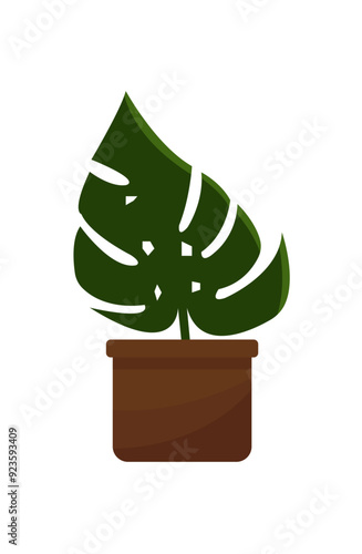 Houseplant Monstera in a pot for home, office, flowershop, kafe, school. Vector illustration