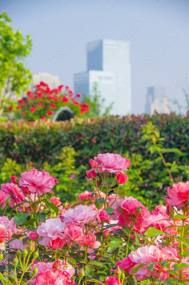 Fototapeta premium Spring scenery of Shahu Park in Wuhan