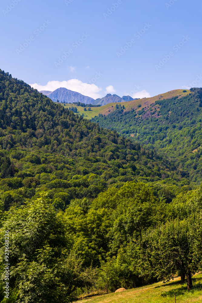 Fototapeta premium Panorama sur les montagnes des Pyrénées depuis le village de Saint-Aventin, à proximité de Bagnères-de-Luchon