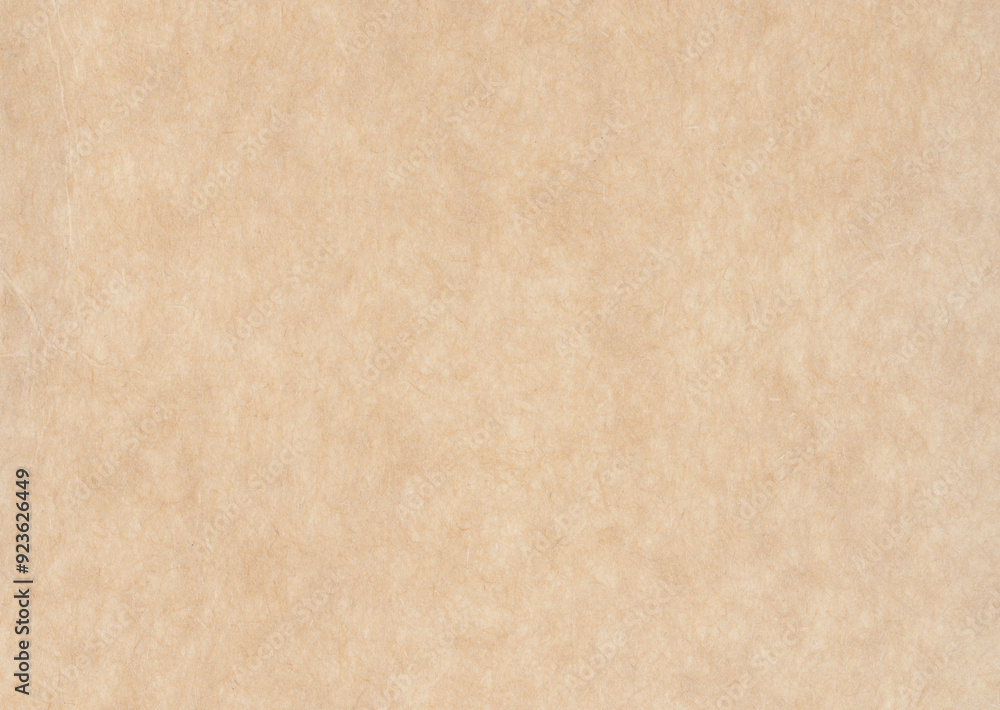 Fototapeta premium Light brown color recycling paper pattern