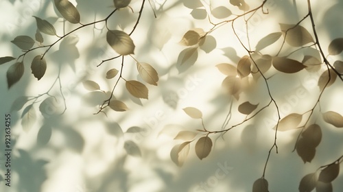 Soft sunlight filters through tree leaves, casting gentle shadows and creating an abstract pattern on a white background. Generative ai