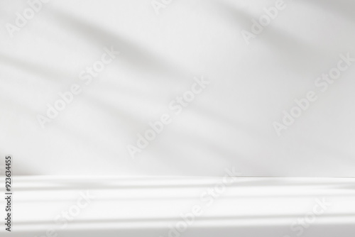 Abstract white color studio background for product presentation. Empty room with shadows of window and flowers and plant leaves . 3d room with copy space. Summer concert. Blurred backdrop.