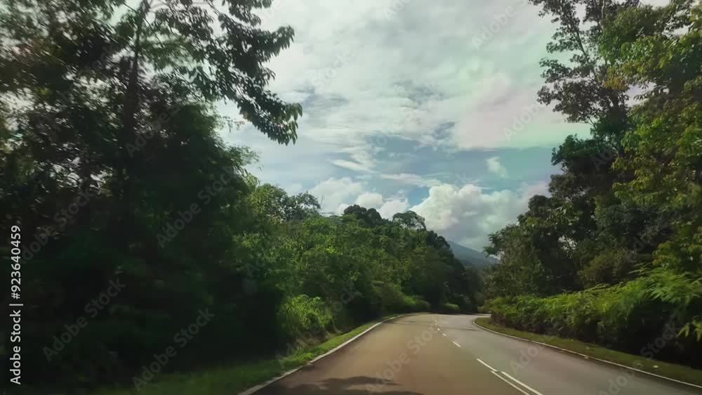 road in the forest and mountains road in the forest and mountains