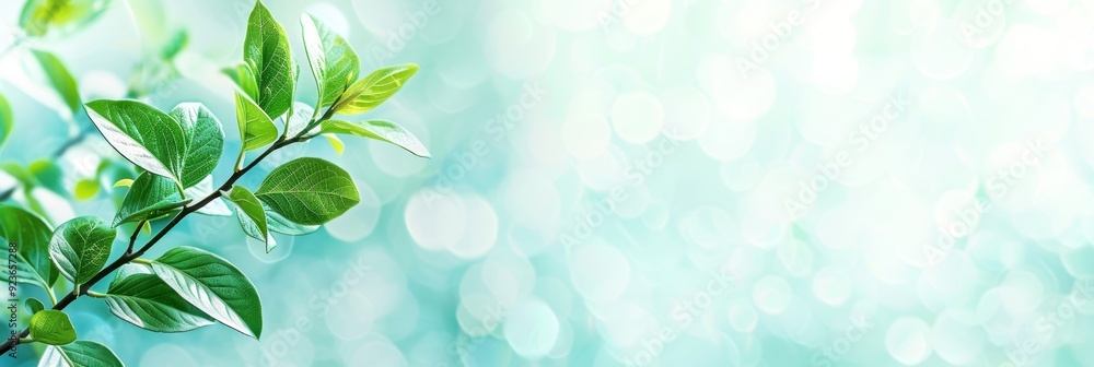 Fresh green leaves on a branch with a beautiful light blue bokeh background, symbolizing nature, growth, and serenity. Fresh green leaves on a branch with a beautiful light blue bokeh background, symbolizing nature, growth, and serenity.