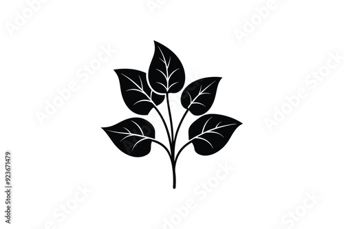 Fruit and plants silhouette vector style