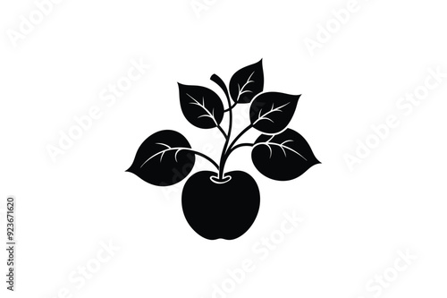 Fruit and plants silhouette vector style